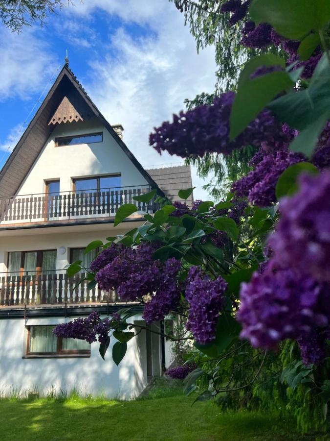 Willa Popielica Zakopane Eksteriør billede